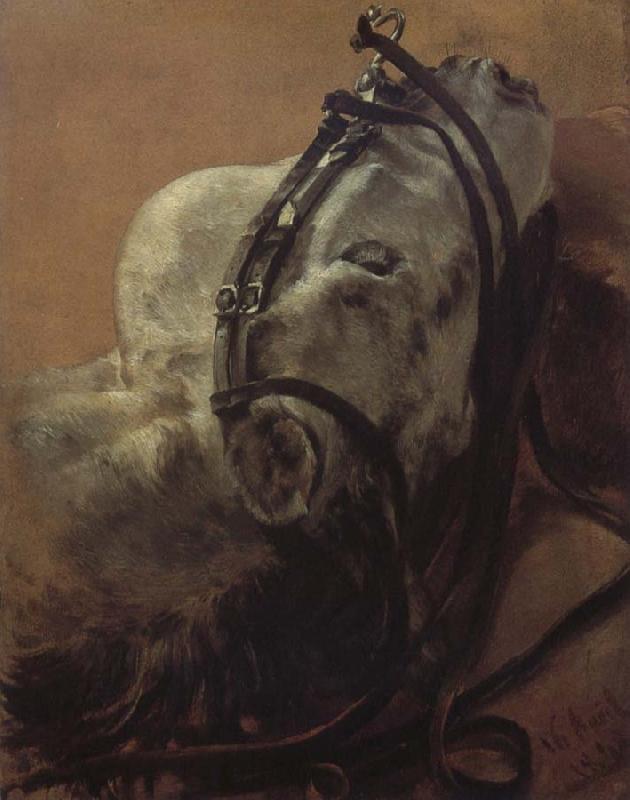 Adolph von Menzel Euine Study,Recumbent Head in Harness Sweden oil painting art